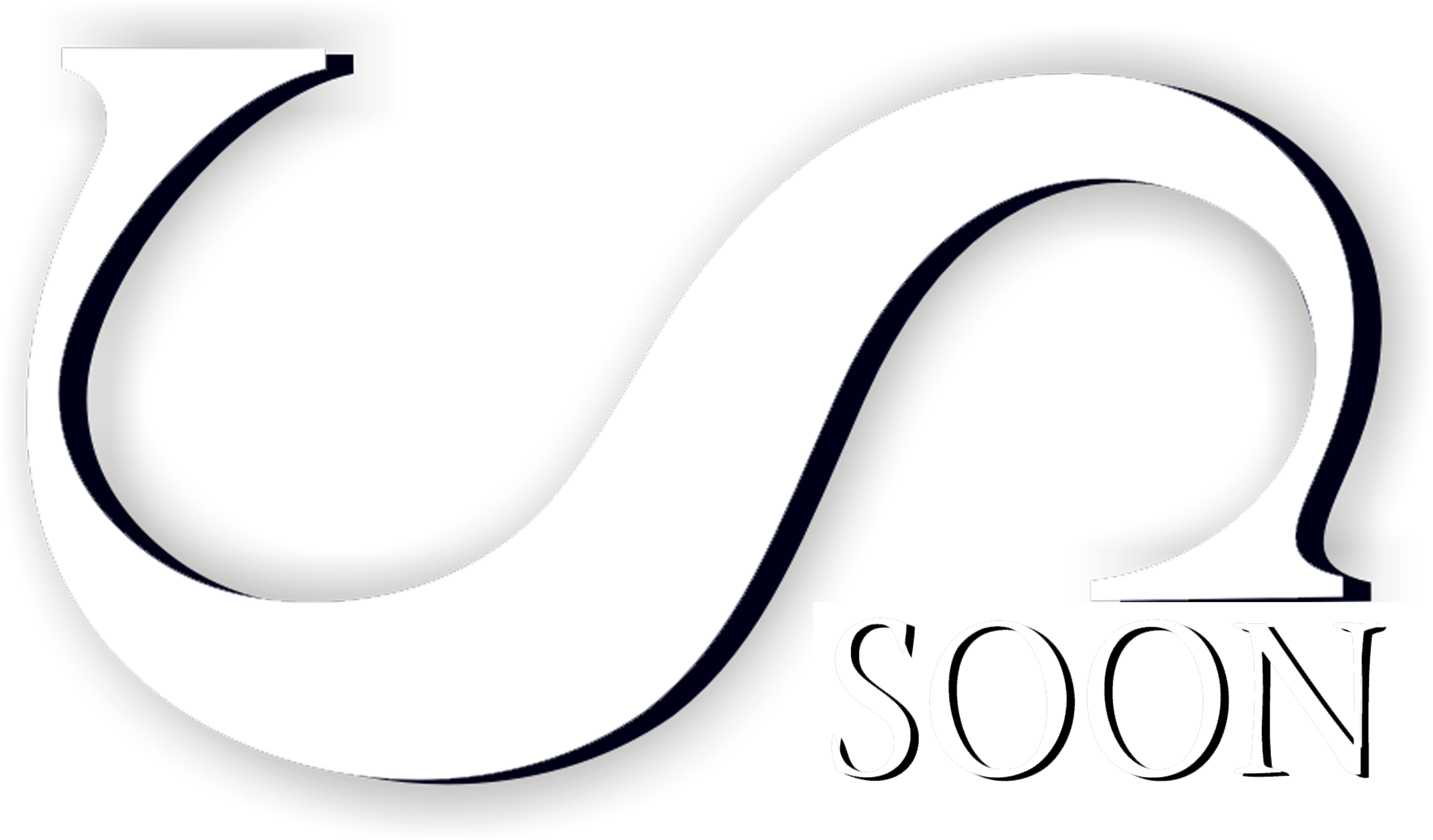 SOON Enteprise project management